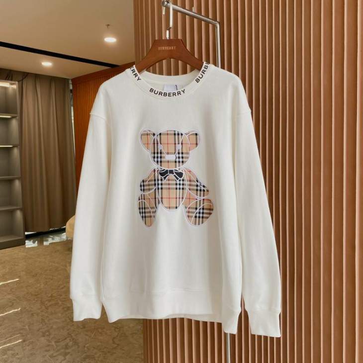 Picture of Burberry Sweatshirt _SKUBurberryS-2XLaztx874030993